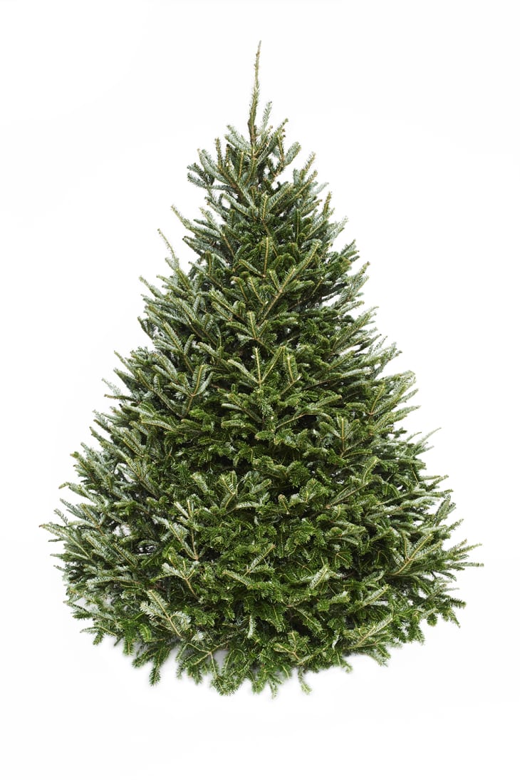 4 Places to Buy Live Christmas Trees Online Walmart, Home Depot